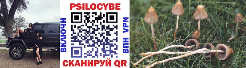 Галлюциногенные грибы Psilocybine cubensis купить закладку Боровск